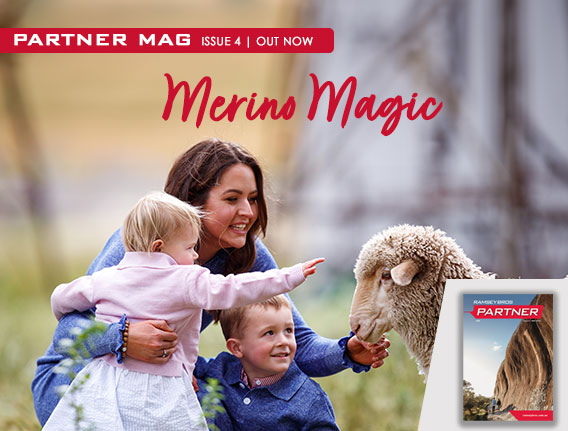 Merino Magic | Partner Mag | Ramsey Bros